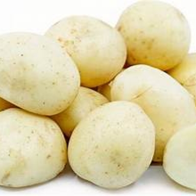 POTATO WHITE