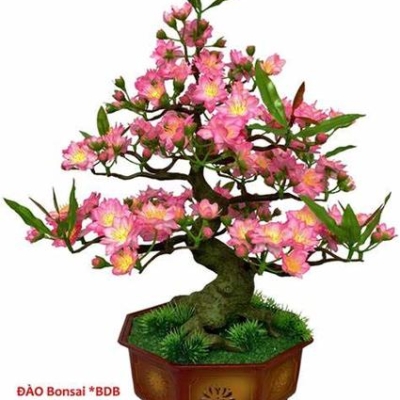 HOA DAO BONSAI 52CM