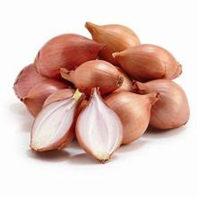 SHALLOT CHINA 