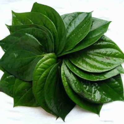 TRAU LEAF 