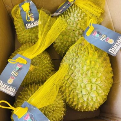 DURIAN RI6 WHOLE 