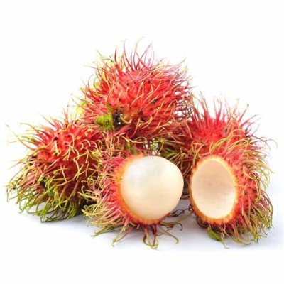 RAMBUTAN