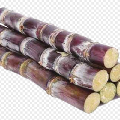 SUGARCANE RED