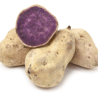 PURPLE YAM (S) 