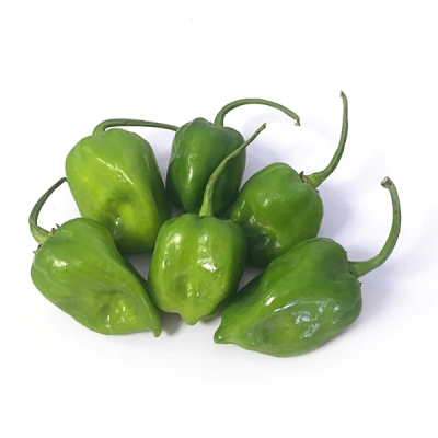  CHILI HAPANERO (GREEN)