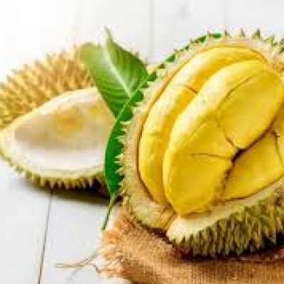 FRESH DURIAN MONTHONG THAILAND