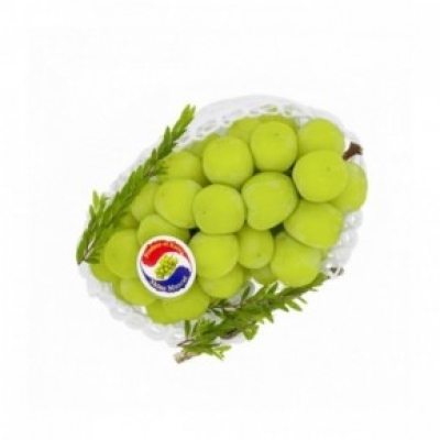 GRAPE KOREAN