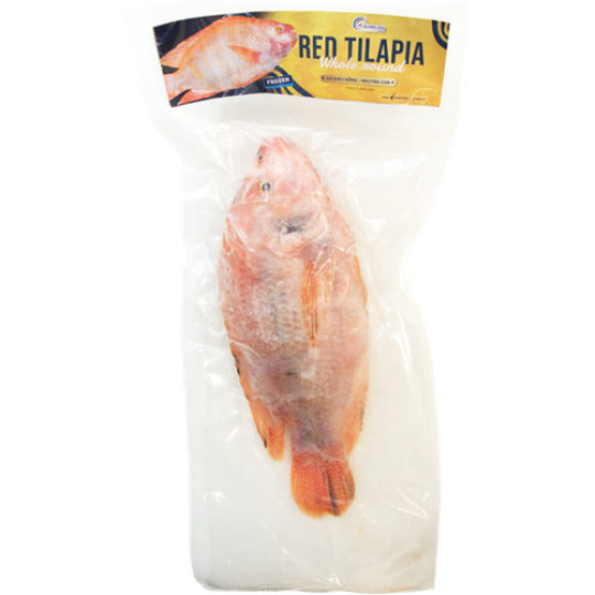RED TILAPIA 500-800 Size 40#