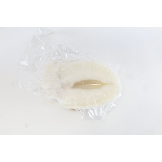 Frozen Cuttle Fish BlueBird