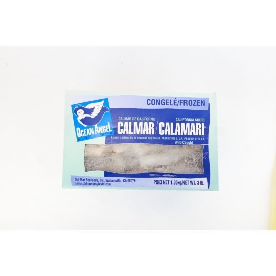 Frozen Calamari Squid California
